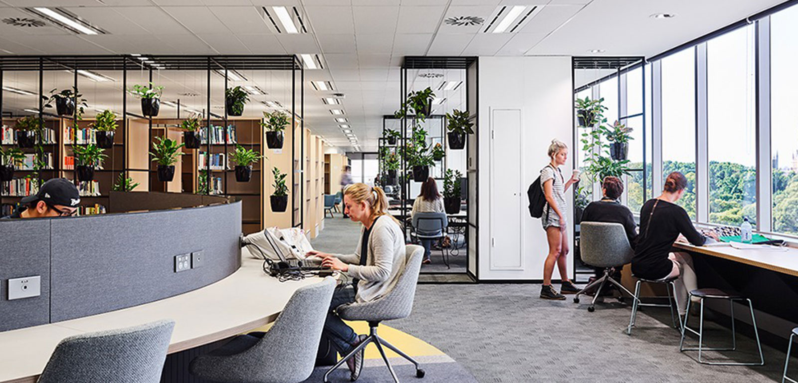 School media preview